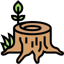 tree stump